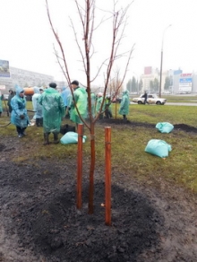 В Набережных Челнах появилась аллея дружбы народов